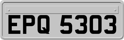 EPQ5303