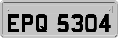 EPQ5304