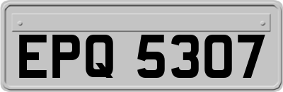 EPQ5307