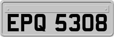 EPQ5308