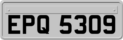 EPQ5309