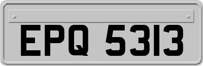 EPQ5313