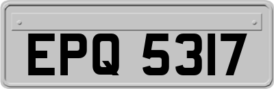 EPQ5317