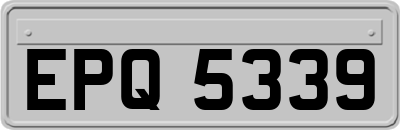 EPQ5339