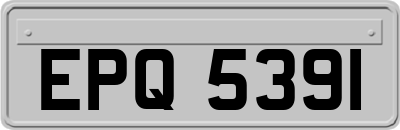EPQ5391