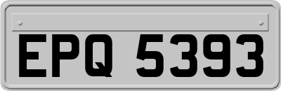 EPQ5393