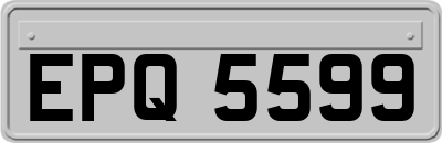 EPQ5599