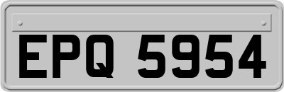 EPQ5954
