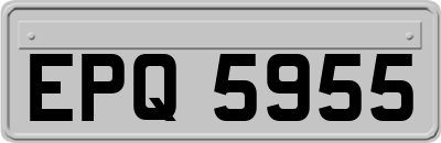 EPQ5955