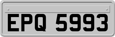 EPQ5993