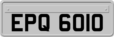 EPQ6010