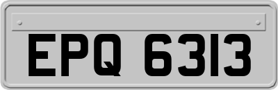 EPQ6313