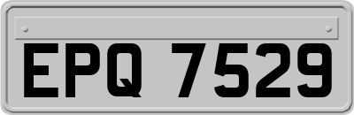 EPQ7529