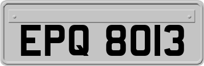EPQ8013