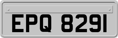EPQ8291
