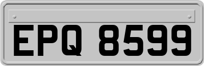 EPQ8599