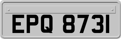 EPQ8731