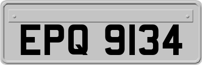 EPQ9134