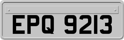 EPQ9213