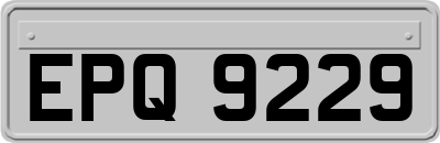 EPQ9229