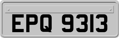 EPQ9313