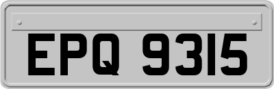 EPQ9315