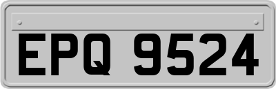 EPQ9524