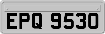 EPQ9530