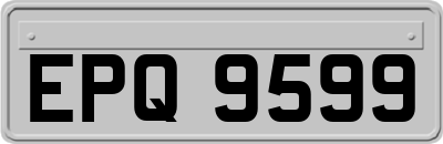 EPQ9599