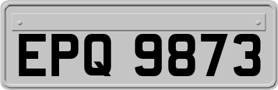 EPQ9873