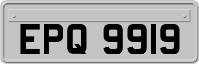 EPQ9919