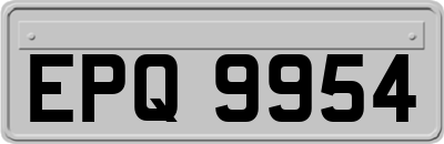 EPQ9954