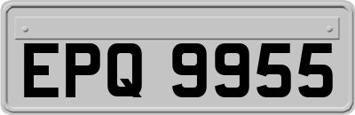 EPQ9955