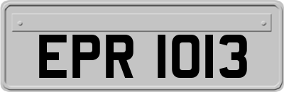 EPR1013