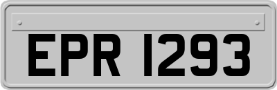 EPR1293