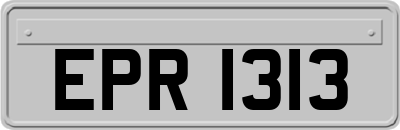 EPR1313