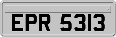 EPR5313