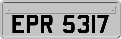 EPR5317