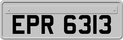 EPR6313