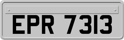 EPR7313