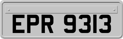EPR9313