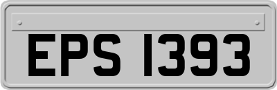EPS1393