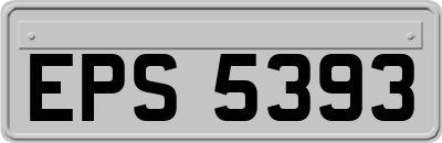 EPS5393