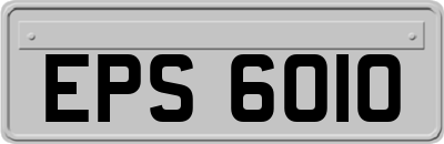 EPS6010