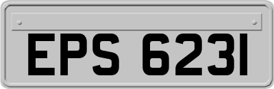 EPS6231