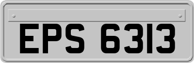 EPS6313