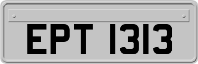 EPT1313