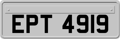 EPT4919