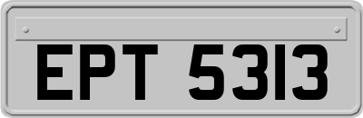EPT5313