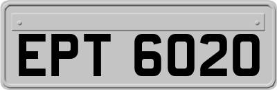 EPT6020